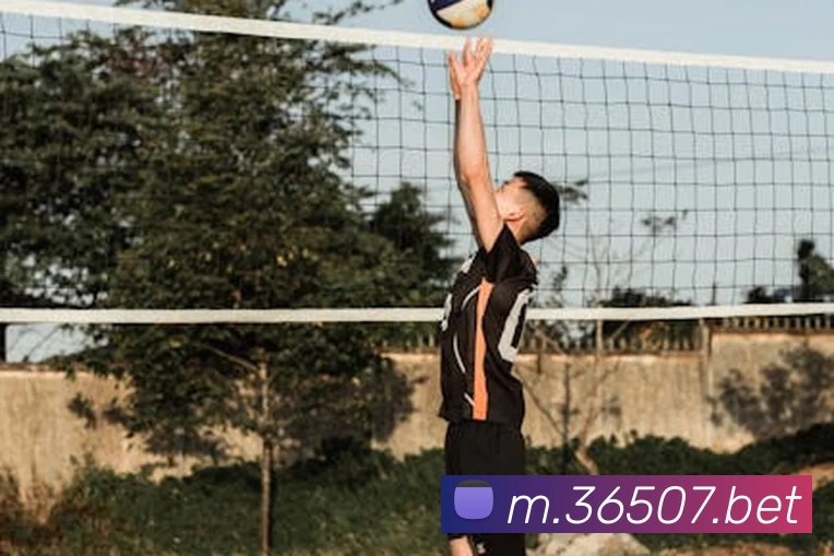 365bet足球平台生态图